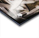 Soft symbol of peace and hope Acrylic print