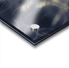 Tonical Entangle Acrylic print