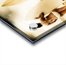 Summer surf scenes Acrylic print