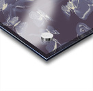 Dreamy wings Acrylic print