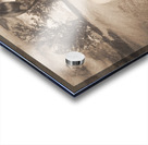 Retro pinup poster girl holding baseball in glove Acrylic print