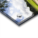 Golfer Acrylic print