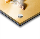 Seahorse art abstract Acrylic print