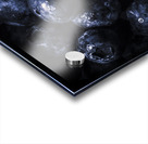 Contrasted sweetness Acrylic print