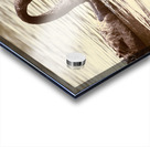 Reflective beauty Acrylic print