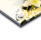 Japanese flower art Acrylic print