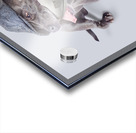 Isolated newspaper dog carrying latest news Acrylic print