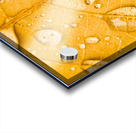 Leafy tropics Acrylic print