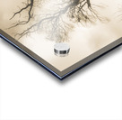 Mystery tree in a dark scary forest Acrylic print