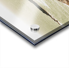 Rugged rocky cape Acrylic print