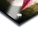 Partied out party animal Acrylic print