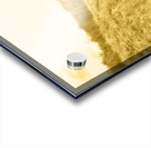 Faded Film Surfing Memories Acrylic print