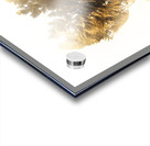 Finding spirit within Acrylic print