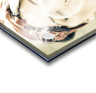 Inflation And Bust Acrylic print