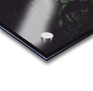 Feather quill lying in green grass. Writers guild  Acrylic print