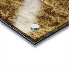 Woodland walk Acrylic print