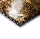 Rocking horse pin up Acrylic print