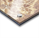 Spiral seaside Acrylic print