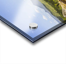 Colour wilds  Acrylic print