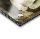 Romances from past times Acrylic print