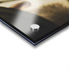 Movie memorabilia Acrylic print