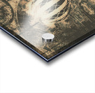 Travelling the old world Acrylic print