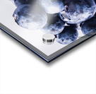 Blueberrini  Acrylic print