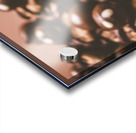 Spider bites Acrylic print