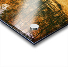 Path to autumn marshlands Acrylic print