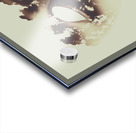 Connection to all that is Acrylic print