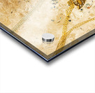 Carnival masquerade jewels Acrylic print