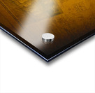 The messenger bird Acrylic print