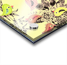 Button bird aviary Acrylic print