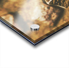 Forged in the crusades Acrylic print