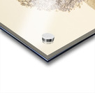 Infrared Lake Samsonvale Acrylic print