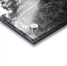 Wildering woods Acrylic print