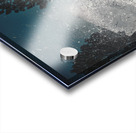 A valiant cover up Acrylic print