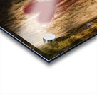 The Lonely Tree Acrylic print