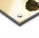 Ridgley hilltop Acrylic print