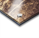 Wild ways Acrylic print