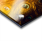 Iridescence  Acrylic print