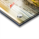 Trials and triumphs  Acrylic print