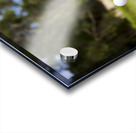 Work Life Balance Acrylic print