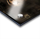 Hidden history Acrylic print