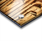 Clubhouse legends Acrylic print