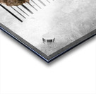 Line Up Of The Usual Suspects Acrylic print