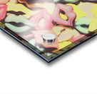 Hot Lips 1960 Acrylic print