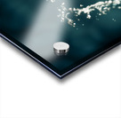 Splash Acrylic print