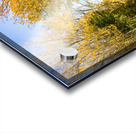 Autumn Drive Acrylic print