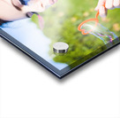 Heart Felt Happiness Acrylic print